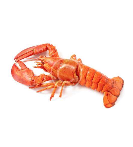 Crawfish